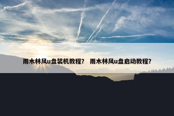 雨木林风u盘装机教程？ 雨木林风u盘启动教程？