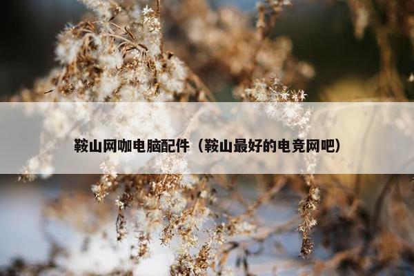 鞍山网咖电脑配件（鞍山最好的电竞网吧）
