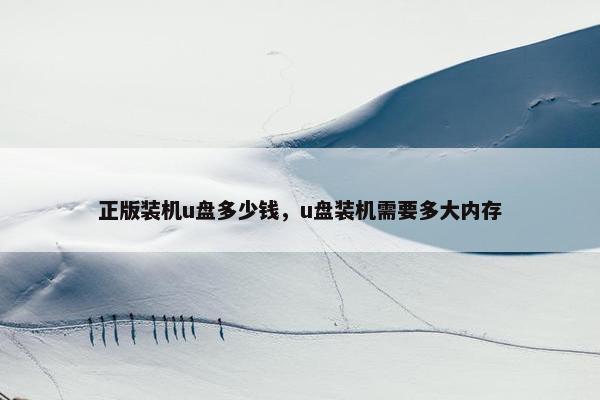 正版装机u盘多少钱，u盘装机需要多大内存