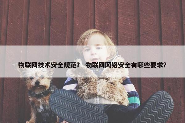 物联网技术安全规范？ 物联网网络安全有哪些要求？