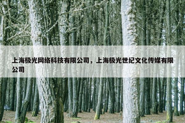 上海极光网络科技有限公司，上海极光世纪文化传媒有限公司
