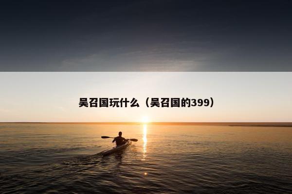 吴召国玩什么（吴召国的399）