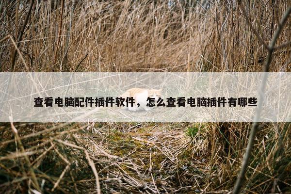 查看电脑配件插件软件，怎么查看电脑插件有哪些
