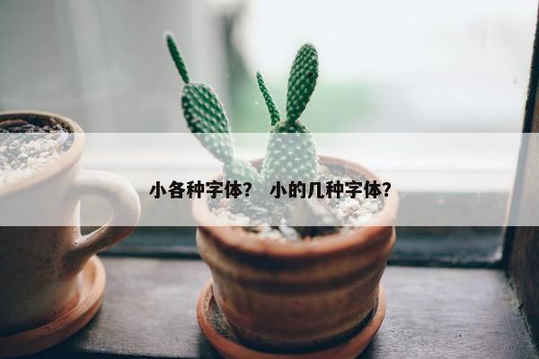 小各种字体？ 小的几种字体？
