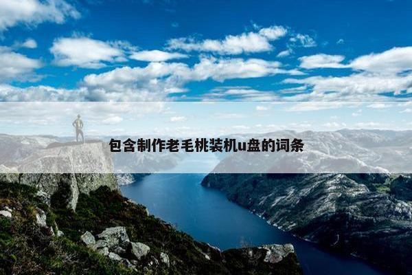 包含制作老毛桃装机u盘的词条