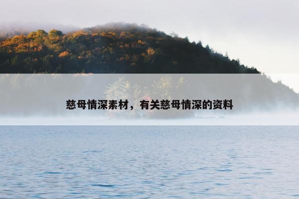 慈母情深素材，有关慈母情深的资料