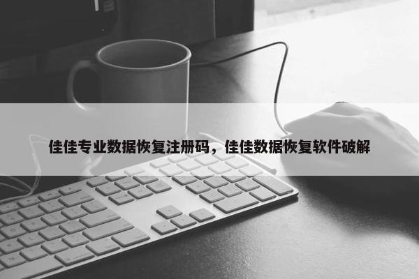 佳佳专业数据恢复注册码，佳佳数据恢复软件破解