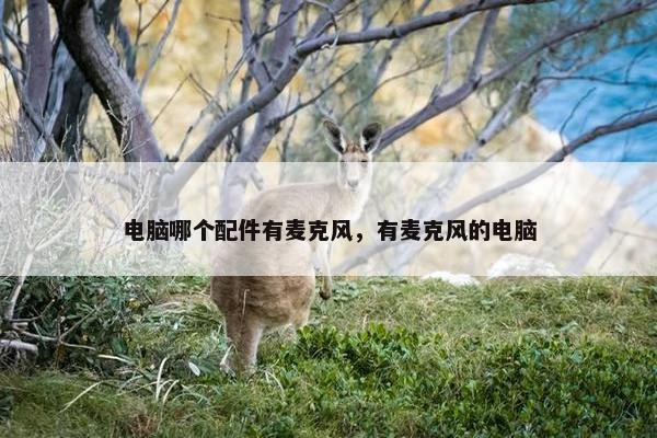 电脑哪个配件有麦克风，有麦克风的电脑