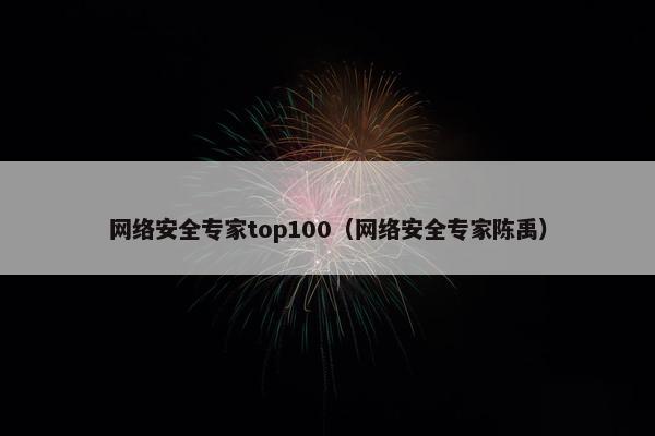网络安全专家top100（网络安全专家陈禹）