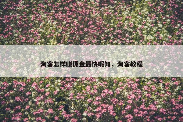 淘客怎样赚佣金最快呢知，淘客教程