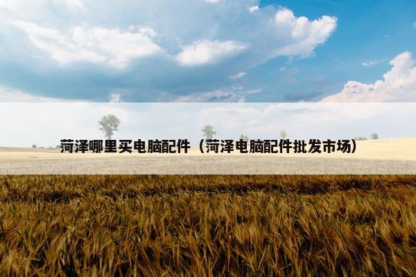 菏泽哪里买电脑配件（菏泽电脑配件批发市场）