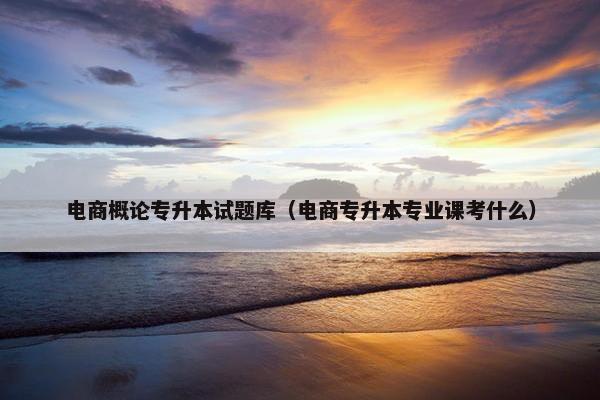 电商概论专升本试题库（电商专升本专业课考什么）