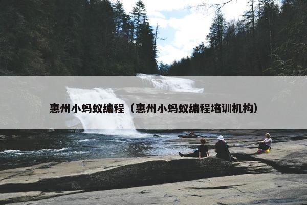 惠州小蚂蚁编程（惠州小蚂蚁编程培训机构）
