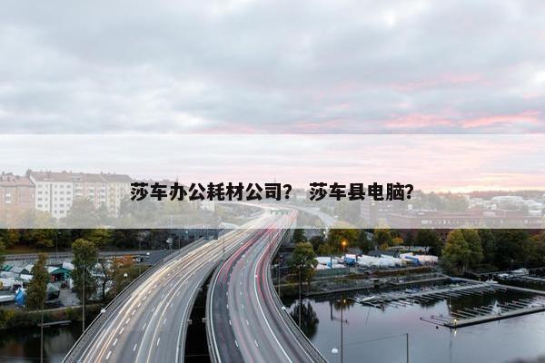 莎车办公耗材公司？ 莎车县电脑？