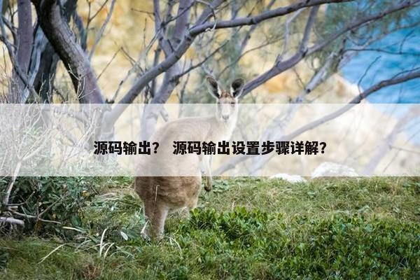 源码输出？ 源码输出设置步骤详解？