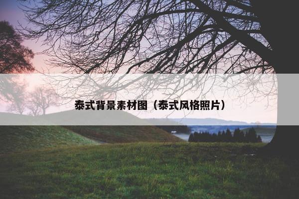 泰式背景素材图（泰式风格照片）