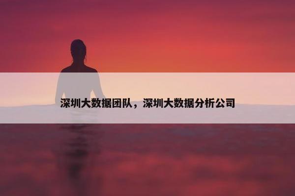 深圳大数据团队，深圳大数据分析公司