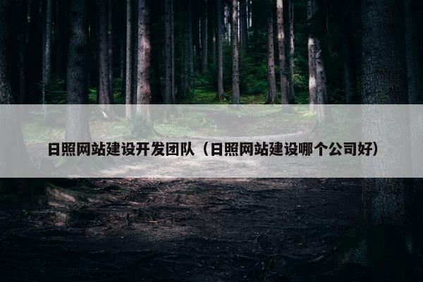 日照网站建设开发团队（日照网站建设哪个公司好）