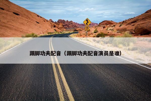 踢脚功夫配音（踢脚功夫配音演员是谁）