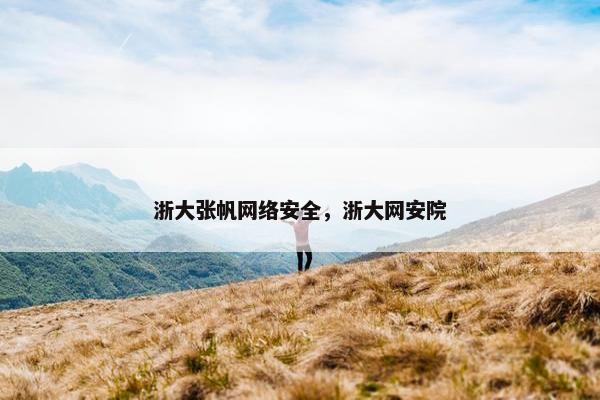 浙大张帆网络安全，浙大网安院