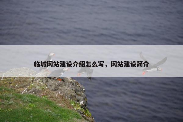 临城网站建设介绍怎么写，网站建设简介