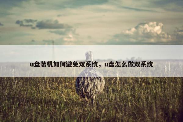 u盘装机如何避免双系统，u盘怎么做双系统