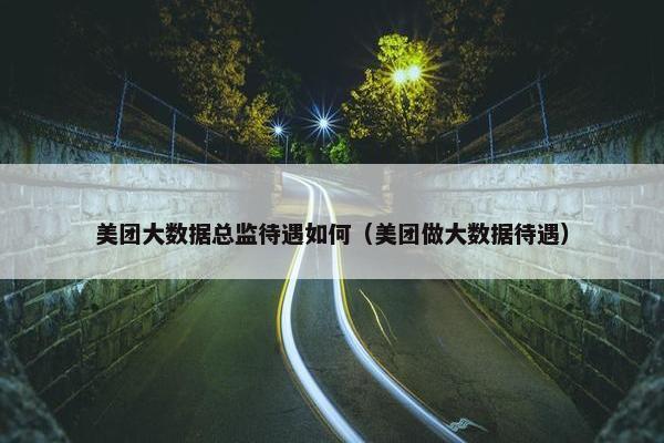 美团大数据总监待遇如何（美团做大数据待遇）