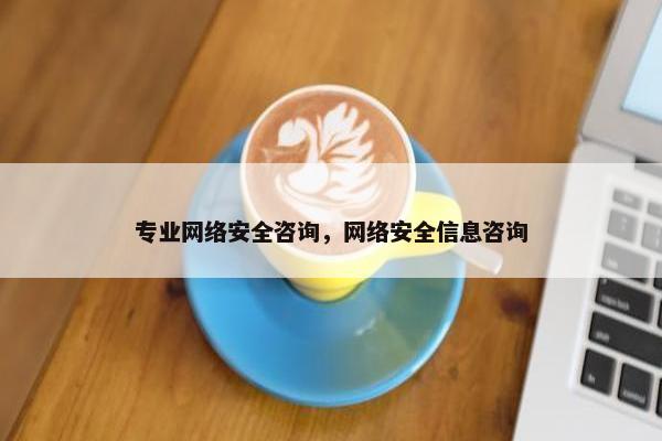 专业网络安全咨询，网络安全信息咨询