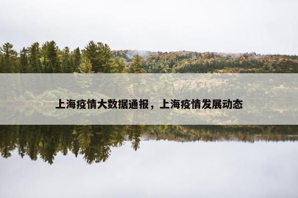 上海疫情大数据通报，上海疫情发展动态