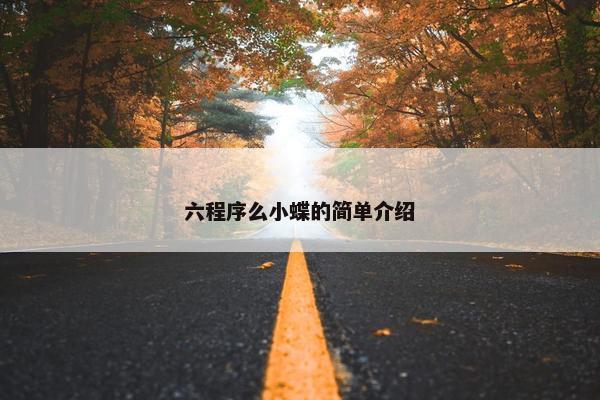 六程序么小蝶的简单介绍