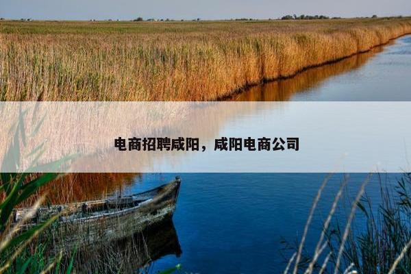 电商招聘咸阳，咸阳电商公司