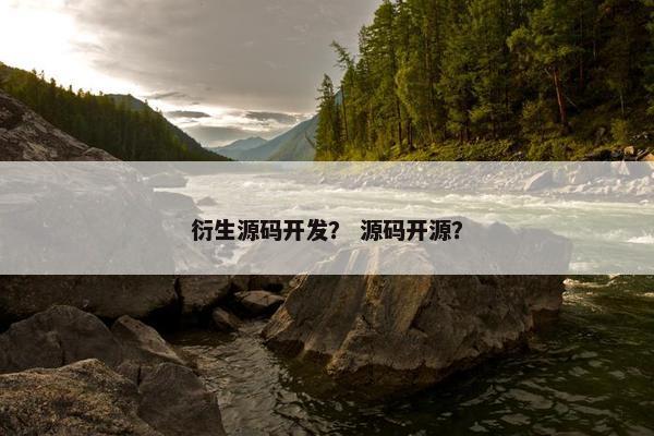 衍生源码开发？ 源码开源？
