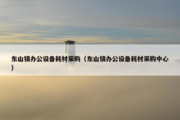 东山镇办公设备耗材采购（东山镇办公设备耗材采购中心）