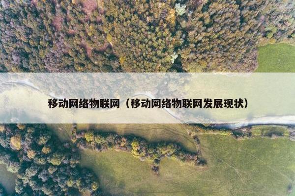 移动网络物联网（移动网络物联网发展现状）