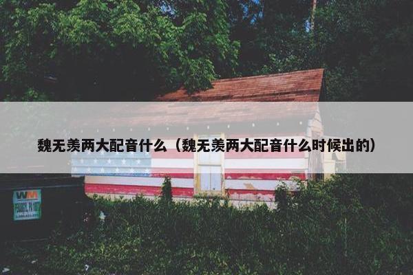 魏无羡两大配音什么（魏无羡两大配音什么时候出的）