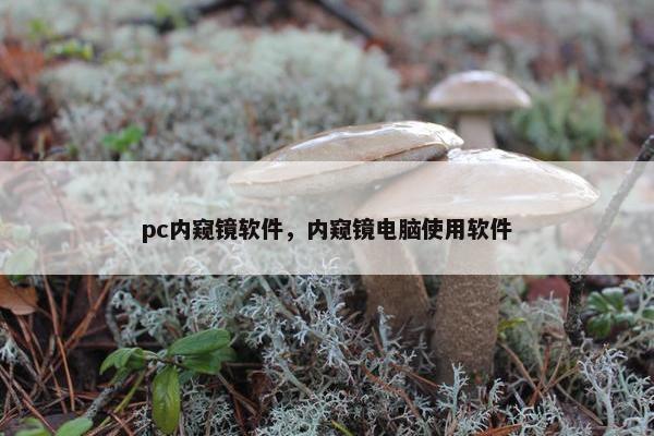 pc内窥镜软件，内窥镜电脑使用软件