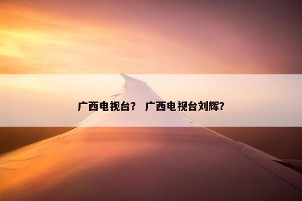 广西电视台？ 广西电视台刘辉？