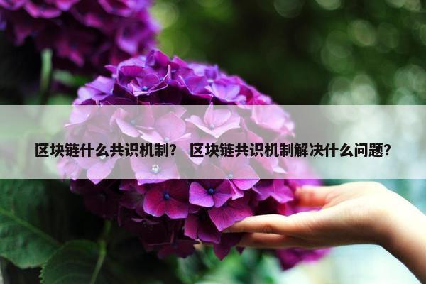 区块链什么共识机制？ 区块链共识机制解决什么问题？