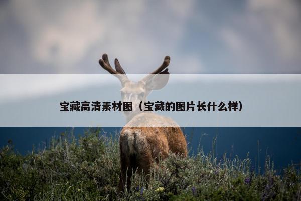 宝藏高清素材图（宝藏的图片长什么样）