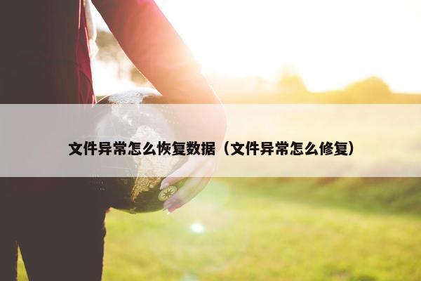 文件异常怎么恢复数据（文件异常怎么修复）