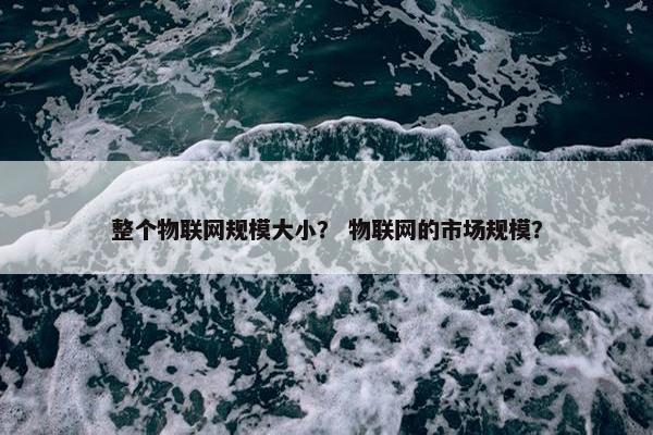 整个物联网规模大小？ 物联网的市场规模？