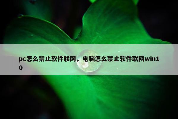 pc怎么禁止软件联网，电脑怎么禁止软件联网win10