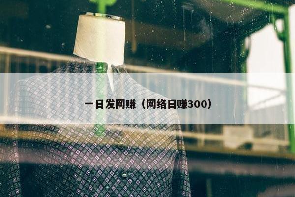 一日发网赚（网络日赚300）