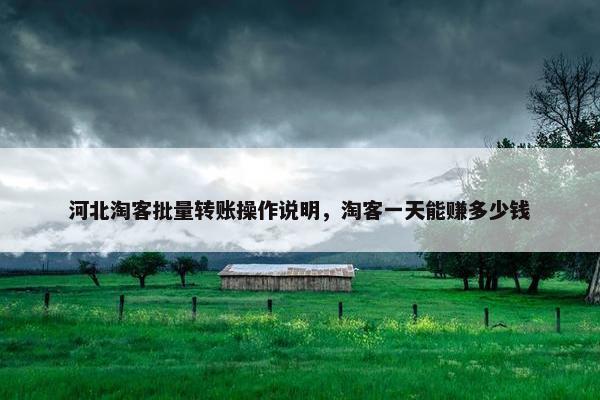 河北淘客批量转账操作说明，淘客一天能赚多少钱