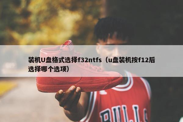 装机U盘格式选择f32ntfs（u盘装机按f12后选择哪个选项）