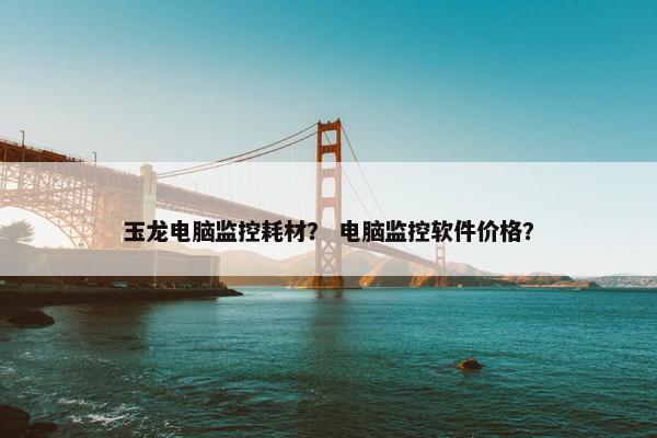 玉龙电脑监控耗材？ 电脑监控软件价格？