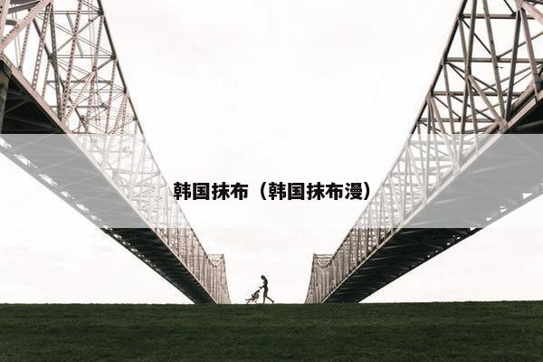 韩国抹布（韩国抹布漫）