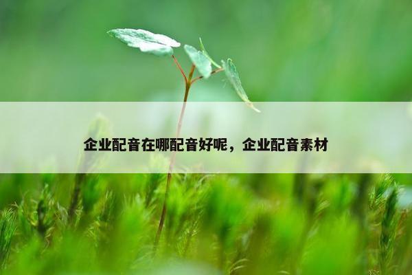 企业配音在哪配音好呢，企业配音素材