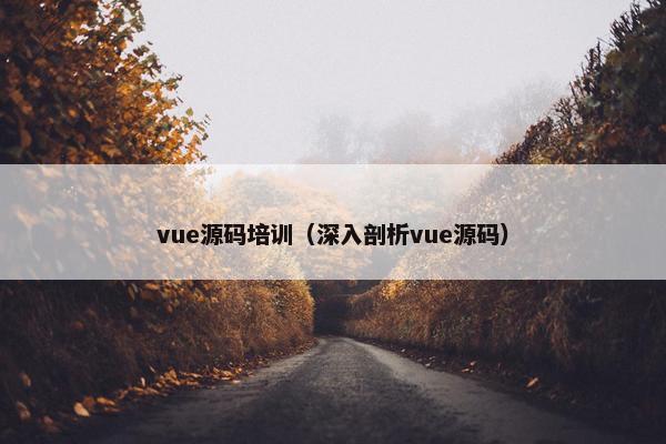 vue源码培训（深入剖析vue源码）