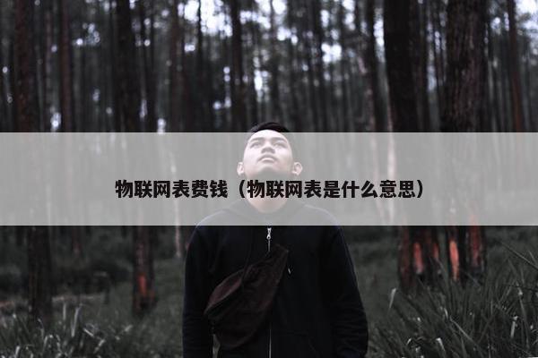 物联网表费钱（物联网表是什么意思）